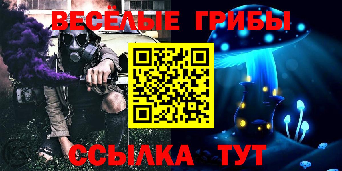 Ессентуки  Псилоцибиновые грибы MAGIC MUSHROOMS  Галлюциногенные грибы GOLDEN TEACHER  Вход с VPN 